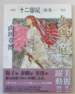 The Twelve Kingdoms Illustrations Vol.1 Akihiro Yamada Art Book from Japan F/S - Picture 1 of 2