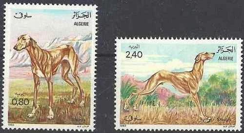 Timbres Chiens Algérie 798/799 ** - 84160E - Photo 1/1