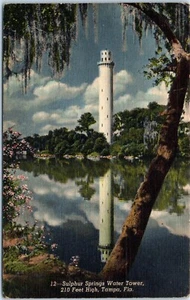 Sulphur Springs Water Tower, Tampa, Florida Linen Postcard - Picture 1 of 2