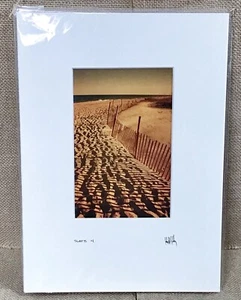 Sand Dune Beach John W Golden Photography Slats 4 Nature Ocean Coastal - Picture 1 of 3