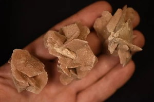 3 *AUSTRALIAN* SAND GYPSUM Specimens 3-5cm 57.4g Crystal Cluster South Australia - Bild 1 von 18