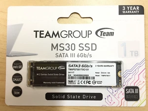 TEAMGROUP MS30 1TB w/ SLC Cache 3D NAND TLC M.2 2280 SATA III 6Gb/s Internal S - Afbeelding 1 van 2