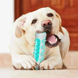 Dog Toy Bone Teeth Cleaning Dog Chew Toy Tough Dog Puppy Toothbrush Rubber - Picture 1 of 7
