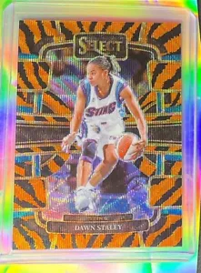2023-24 WNBA Panini Select - Concourse #20 Dawn Staley Tiger Stripe Prizm SSP - Foto 1 di 2