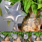 Glass Plant Flowers Water Automatic Self Watering Devices Bird Star Heart Design