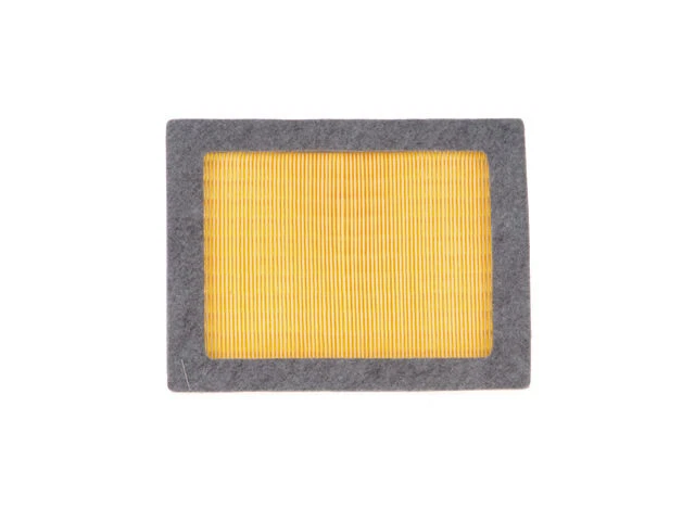 Filtro de aire Lincoln Mark LT 2006-2008 59978RYMD 2007 5,4 L V8 Foto 1 de 2