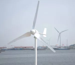 2000W Windkraftanlage 12V 24V 48V Horizontal Windturbine Windgenerator Windrad - Bild 1 von 15