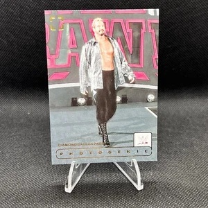 Diamond Dallas Page #139 2024 Panini Photogenic WWE Legends - Bild 1 von 2