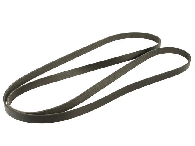 Dayco 56GS61V Multi Rib Belt Fits 2009-2013 Ford E350 Super Duty - Imagem 1 de 1