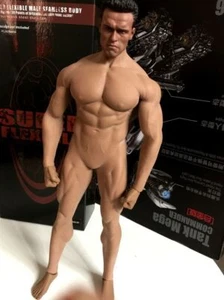 1/6 PHICEN Male Body M34 Seamless Muscular Arnold  Head Sculpt Toy - Picture 1 of 9