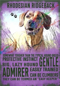 Hunderassen Persönlichkeit Metall Wandschilder Höhle/Küche/Bad/Schlafzimmer - Bild 1 von 63