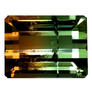 17.08 ct Octagon (16 x 12 mm) Unheated / Untreated Mozambique Bi- Tourmaline - Picture 1 of 2