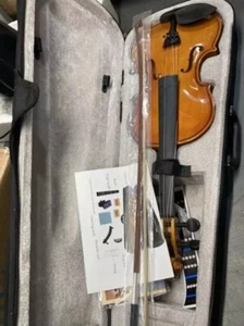 DEBEIJIN Erwachsene Kinder Geige & Koffer Premium Violine für Anfänger - spielbereit - Bild 1 von 2