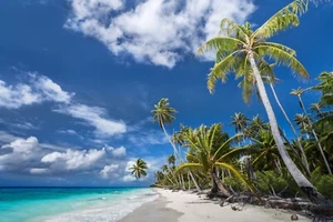 VLIES Fototapete-PALMENSTRAND-(7127ah) Natur Insel Sand Meer Ozean XXL Wandbild - Bild 1 von 1