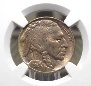 1913 "P" Indian Head BUFFALO Nickel *TYPE 2* 5c NGC MS65 #002 Gem BU ECC&C, Inc. - Picture 1 of 6