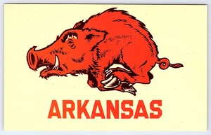 University of Arkansas Razorbacks Hog Red Postcard D438 - Picture 1 of 2
