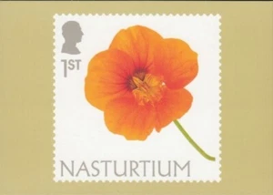 GREAT BRITAIN Flowers Nasturtium Royal Mail PHQ Card - Picture 1 of 1