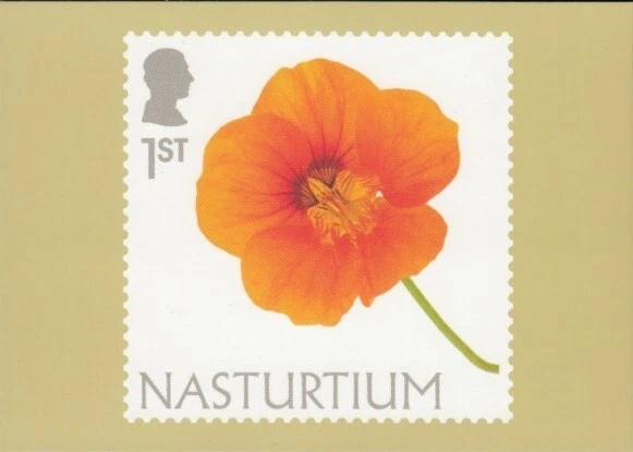 GRAN BRETAÑA Flores Capuchina Royal Mail Tarjeta PHQ Foto 1 de 1