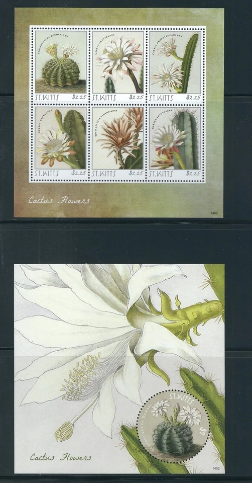 St Kitts / year 2014 Issue . Cactus Flowers . MNH - Image 1 of 1