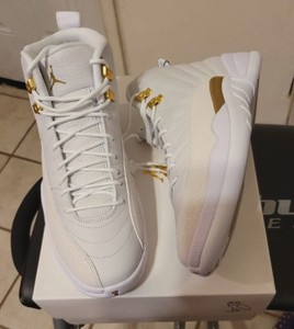 jordan 12 ovo