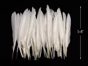 1 Packung - weiße natürliche Ente Zeiger primäre Flügel Federn Halloween Hochzeit - Bild 1 von 10