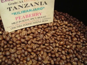 TANZANIA KILIMANJARO COFFEE BEANS PEABERRY MEDIUM ROASTED 5LBS IN 1 POUND BAGS - Picture 1 of 24