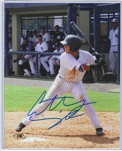 Foto firmada de béisbol de los Cerveceros Yankees Catcher Anthony Seigler 8x10 (MAB) Gators - Imagen 1 de 3