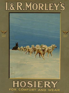 SAMOYED SLED DOG TEAM OLD ADVERT IMAGE ON GREETINGS NOTE CARD - Afbeelding 1 van 1