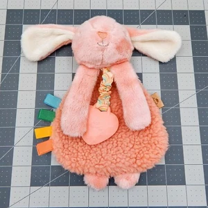 Peluche suave Itzy Ritzy Pink Bunny Lovey con mordedor de corazón de silicona arrugas - Imagen 1 de 6