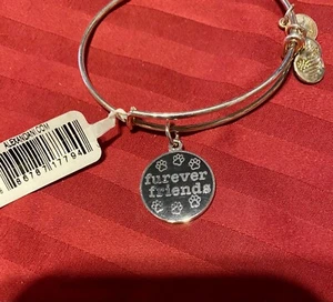 Alex and Ani Braccialetto Infuso Colore Furever Friends - Foto 1 di 2