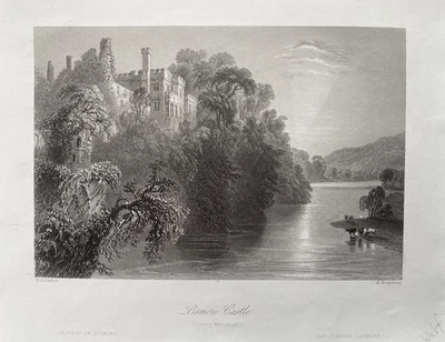 Impresión antigua de 1842; Castillo de Lismore, Co. Waterford Irlanda después de Bartlett Foto 1 de 2
