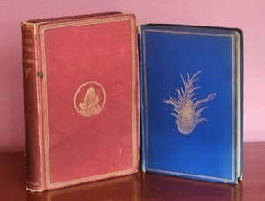 1869 ALICE IN WONDERLAND AND 1869 FIRST EDITION & FIRST ISSUE PHANTASMAGORIA - Picture 1 of 24