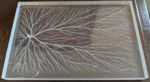Amazing One-of-a-kind fractal capture from 10000 volts driven into acrylic base Cover