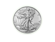 USA 1 Dollar Silver 1 Ounce Silver Eagle 2024-Us Stock