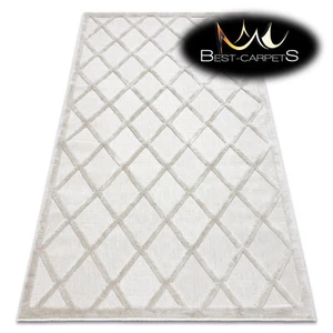 Modern amazing SISAL RUG "SANTO" 58365B trellis beige structural easy to clean - Imagen 1 de 12