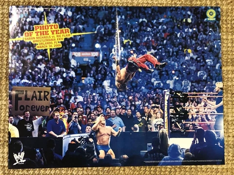 Shawn Michaels WWE 2008 Photo of the Year Poster Moonsault Wrestlemania XXIV Cover