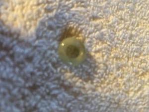 Green jade ring pendant 1/2 inch in width - Picture 1 of 1