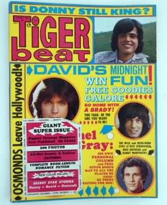 TIGER BEAT MAGAZIN JANUAR 1973 DAVID CASSIDY - DONNY OSMOND - RICK SPRINGFELD - Bild 1 von 8