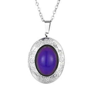 Oval Shaped Photo Box Sweater Chain Women Necklace Court Pattern Necklace - Picture 1 of 12