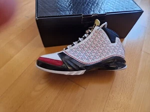 Air Jordan 23 Allstar Gr.42,5 NEU - Bild 1 von 6