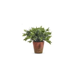 Raz Imports Soft Touch Potted Herb, Thyme - 12" (4402037B) - Picture 1 of 1
