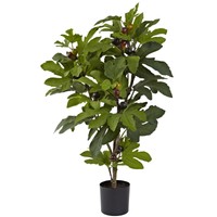32-inch Silk Fig Tree