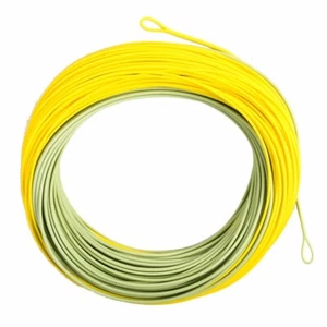Línea de pesca con mosca flotante de peso Salmon Steelhead WF6/7/8F con bucles - Imagen 1 de 7