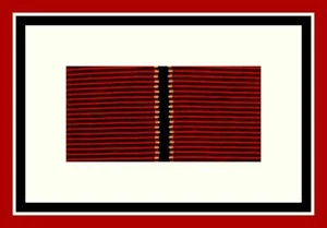 1 Stück II WK Ordensband Winterschlacht im Osten,Ostmedaille 20 cm ! 2WK Orden - Bild 1 von 2