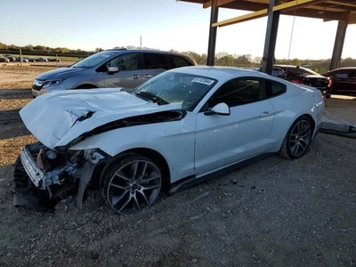 Seat Belt Front Bucket Driver Retractor Coupe Fits 15-17 MUSTANG 5156684 Foto 1 de 4
