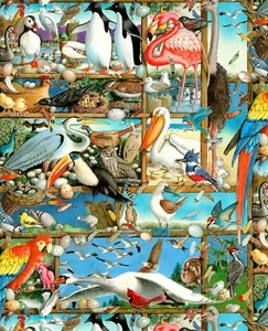 Elizabeth's Studio ~ Realistic Birds Watching ~ 100% Cotton Quilt Fabric BTY - Picture 1 of 1