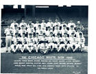 1940 Chicago White Sox Team Photo Burke Ruel Appling Baseball Hof Usa