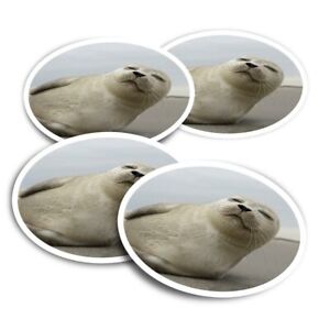 4x Round Stickers 10 cm - Young Grey Seal Pup Animal  #3016