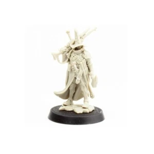 JELSEN DARROCK Witch Hunter Cursed City Quest Age of Sigmar - Picture 1 of 2