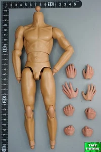 1:6 Scale HHModel HH18032A Imperial Legion Persia - Body (NO HEAD & FEET) - Picture 1 of 2